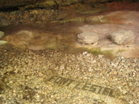 Font Estel