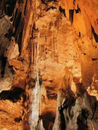 coves.1