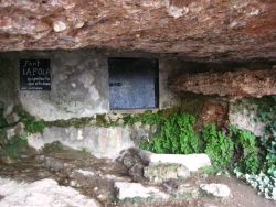 Font Pola