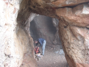 Cova