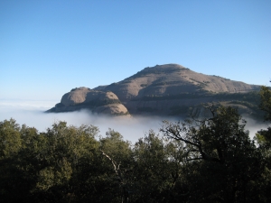 Montcau