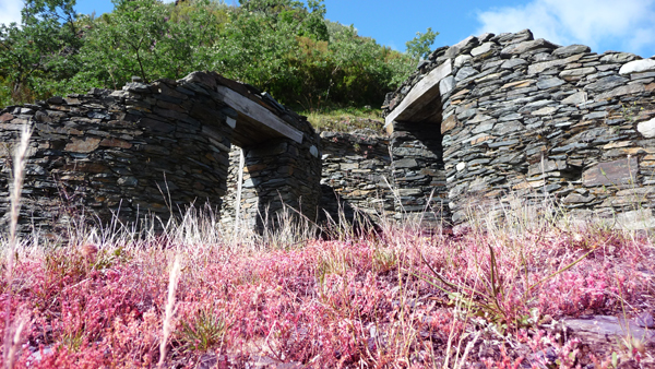 Poblado Celta (Castro de Chano)