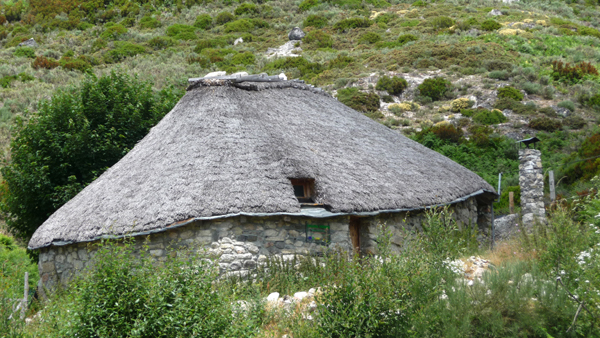Campo del Agua (Palloza)