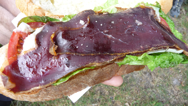 Cecina