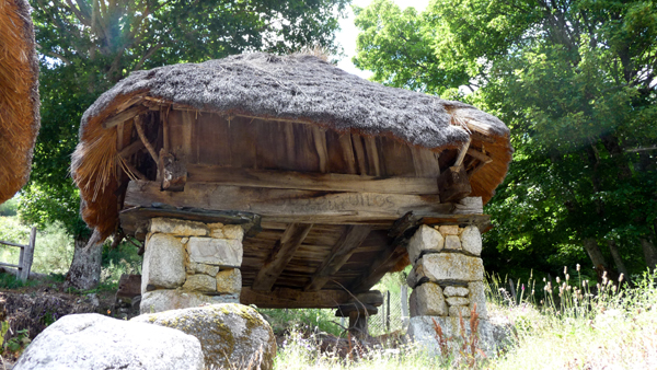Campo del Agua (Horreo)